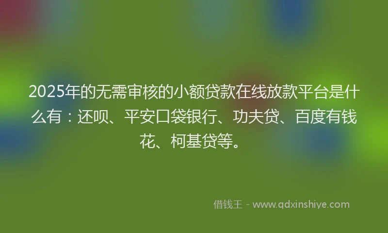 2025年的无需审核的小额贷款在线放款平台是什么有:还呗、平安口袋银行、功夫贷、百度有钱花、柯基贷等。
