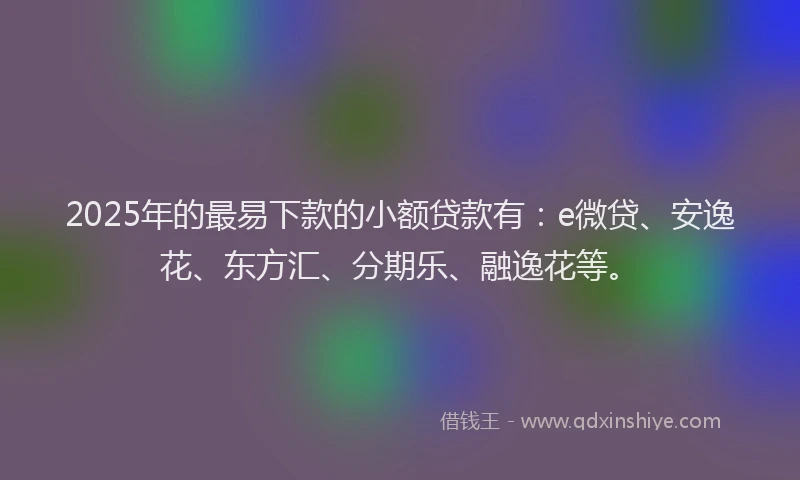 2025年的最易下款的小额贷款有：e微贷、安逸花、东方汇、分期乐、融逸花等。