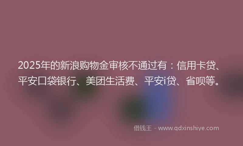 2025年的新浪购物金审核不通过有：信用卡贷、平安口袋银行、美团生活费、平安i贷、省呗等。