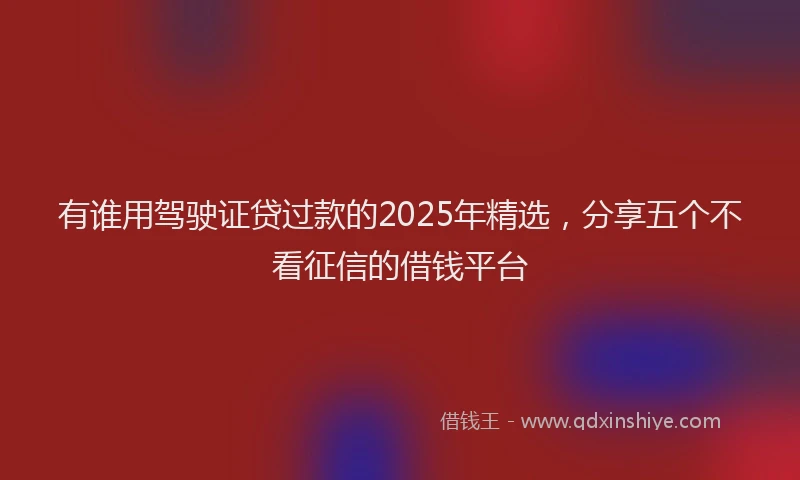 有谁用驾驶证贷过款的2025年精选，分享五个不看征信的借钱平台