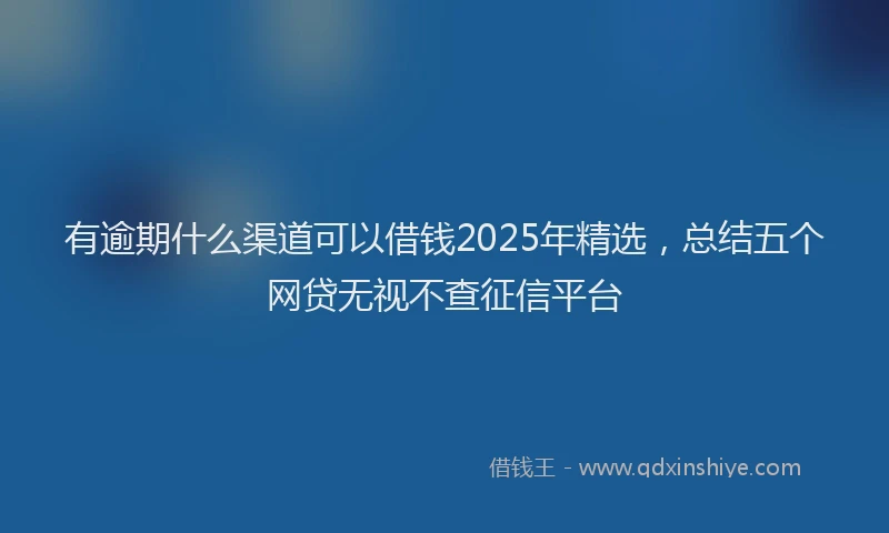 有逾期什么渠道可以借钱2025年精选，总结五个网贷无视不查征信平台