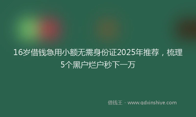 16岁借钱急用小额无需身份证2025年推荐，梳理5个黑户烂户秒下一万