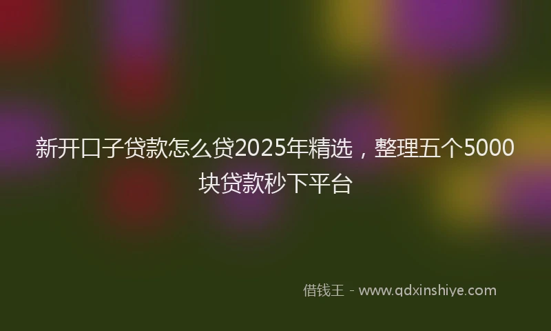 新开口子贷款怎么贷2025年精选，整理五个5000块贷款秒下平台