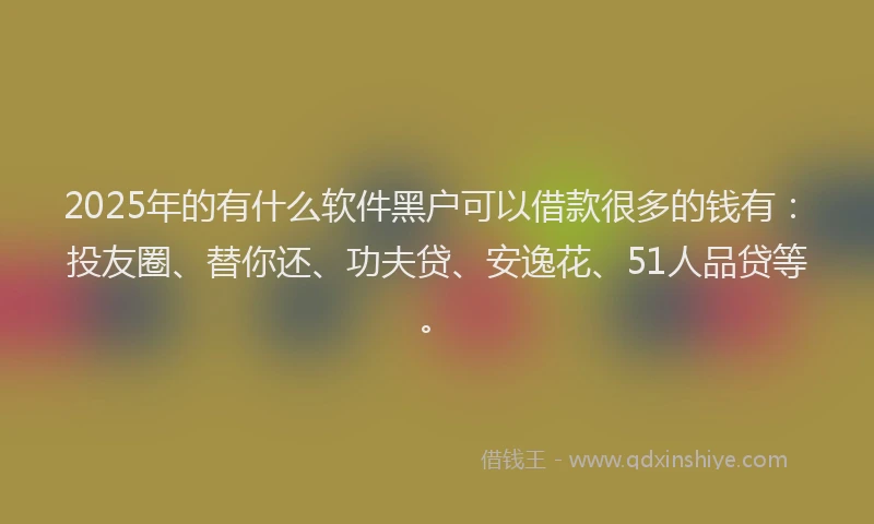 2025年的有什么软件黑户可以借款很多的钱有：投友圈、替你还、功夫贷、安逸花、51人品贷等。