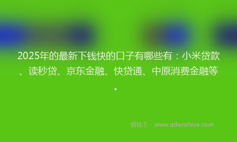 2025年的最新下钱快的口子有哪些有：小米贷款、读秒贷、京东金融、快贷通、中原消费金融等。