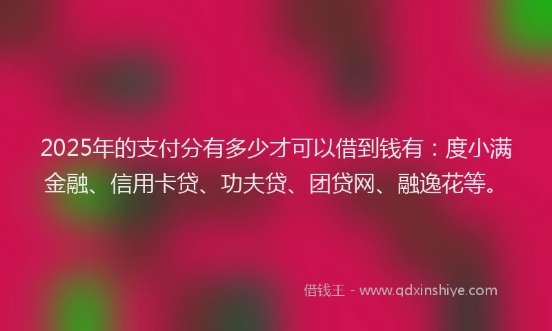 2025年的支付分有多少才可以借到钱有：度小满金融、信用卡贷、功夫贷、团贷网、融逸花等。