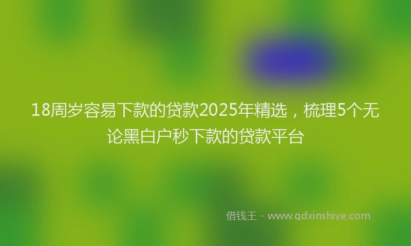 18周岁容易下款的贷款2025年精选，梳理5个无论黑白户秒下款的贷款平台