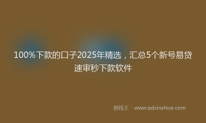 100%下款的口子2025年精选，汇总5个新号易贷速审秒下款软件
