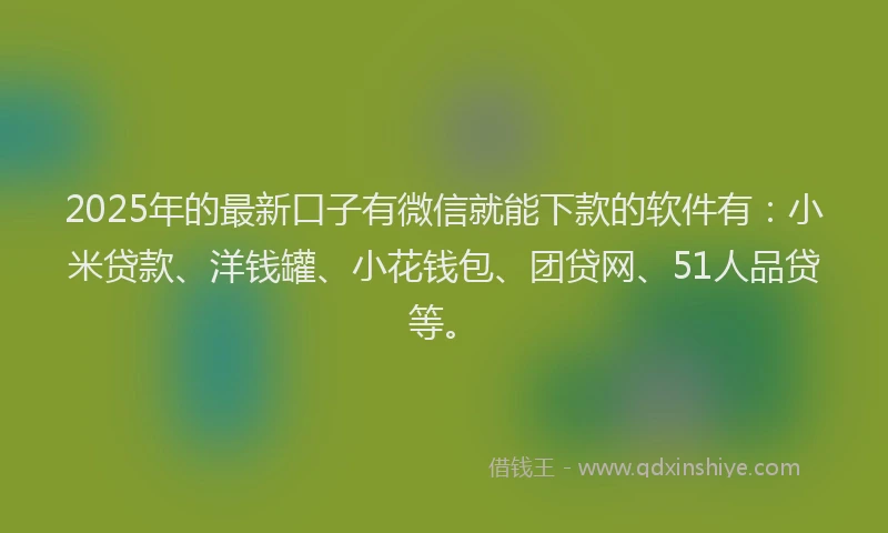 2025年的最新口子有微信就能下款的软件有：小米贷款、洋钱罐、小花钱包、团贷网、51人品贷等。