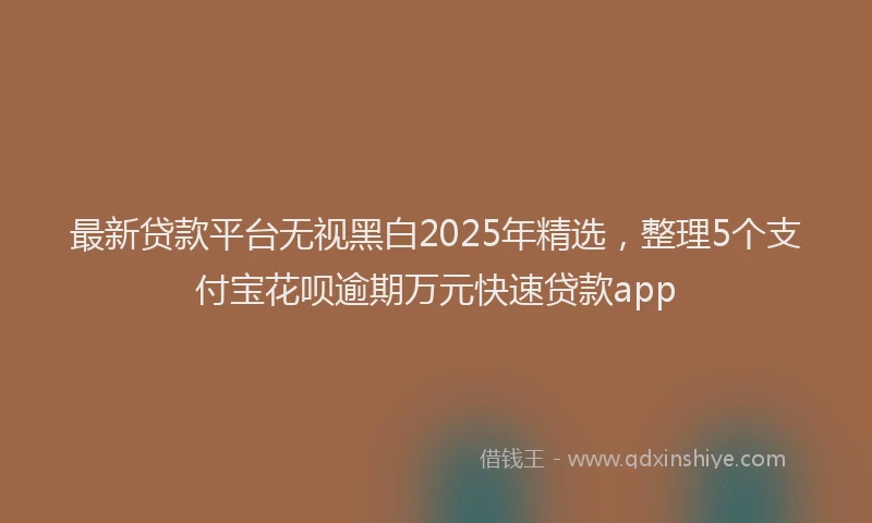 最新贷款平台无视黑白2025年精选，整理5个支付宝花呗逾期万元快速贷款app