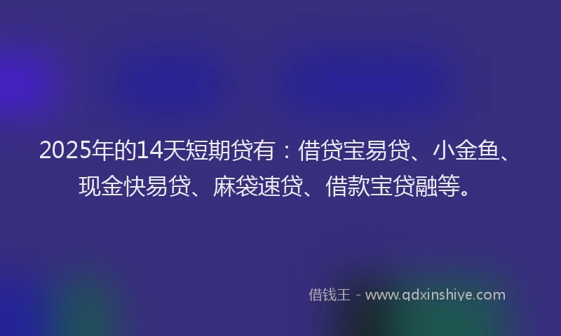 2025年的14天短期贷有：借贷宝易贷、小金鱼、现金快易贷、麻袋速贷、借款宝贷融等。