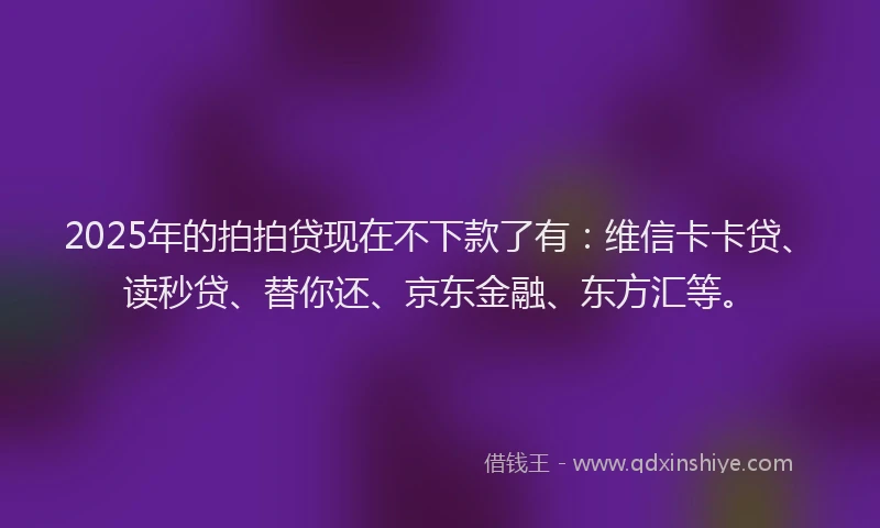 2025年的拍拍贷现在不下款了有：维信卡卡贷、读秒贷、替你还、京东金融、东方汇等。
