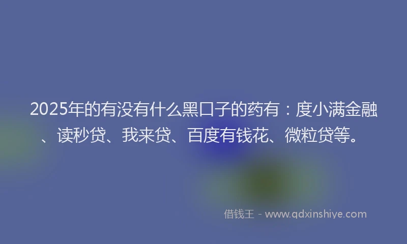 2025年的有没有什么黑口子的药有：度小满金融、读秒贷、我来贷、百度有钱花、微粒贷等。