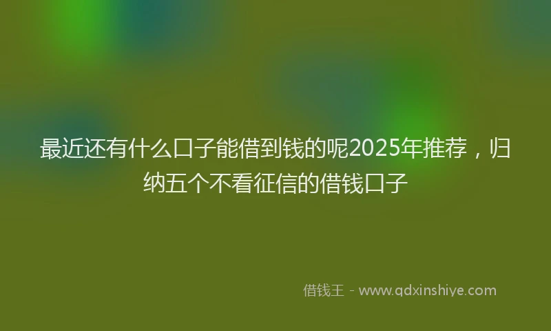 最近还有什么口子能借到钱的呢2025年推荐，归纳五个不看征信的借钱口子