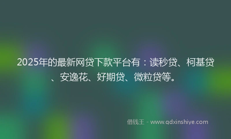 2025年的最新网贷下款平台有：读秒贷、柯基贷、安逸花、好期贷、微粒贷等。