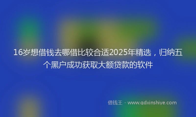 16岁想借钱去哪借比较合适2025年精选，归纳五个黑户成功获取大额贷款的软件