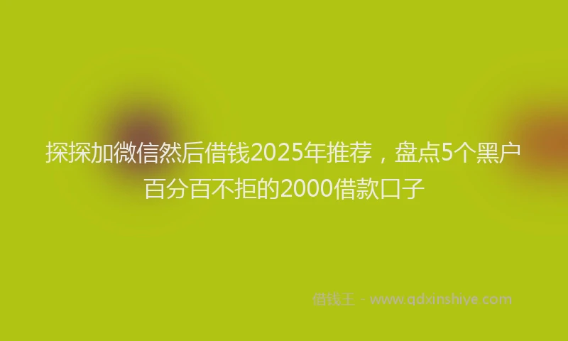 探探加微信然后借钱2025年推荐，盘点5个黑户百分百不拒的2000借款口子