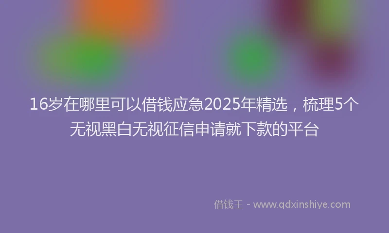 16岁在哪里可以借钱应急2025年精选，梳理5个无视黑白无视征信申请就下款的平台