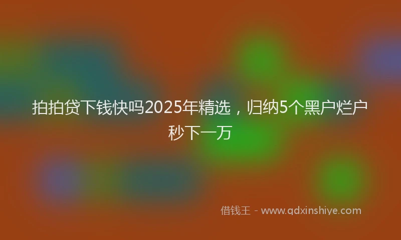 拍拍贷下钱快吗2025年精选，归纳5个黑户烂户秒下一万