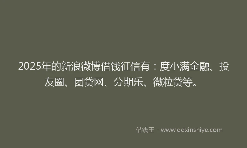 2025年的新浪微博借钱征信有：度小满金融、投友圈、团贷网、分期乐、微粒贷等。
