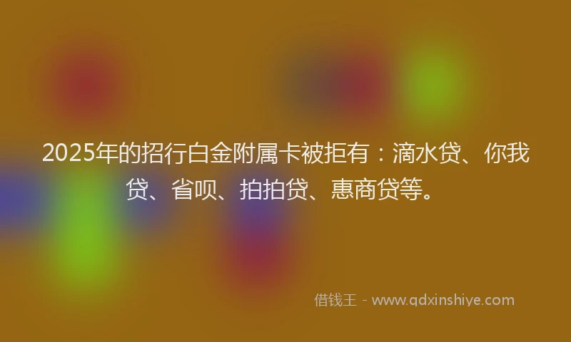 2025年的招行白金附属卡被拒有：滴水贷、你我贷、省呗、拍拍贷、惠商贷等。
