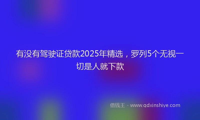 有没有驾驶证贷款2025年精选，罗列5个无视一切是人就下款