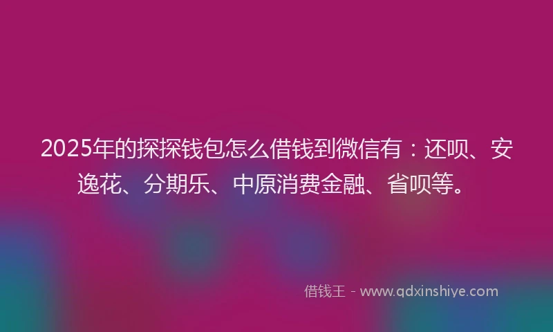 2025年的探探钱包怎么借钱到微信有：还呗、安逸花、分期乐、中原消费金融、省呗等。