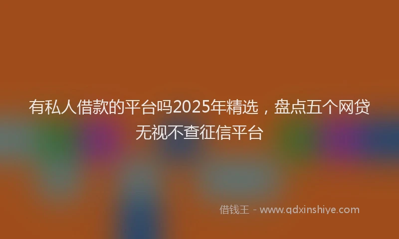 有私人借款的平台吗2025年精选，盘点五个网贷无视不查征信平台