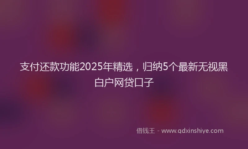 支付还款功能2025年精选，归纳5个最新无视黑白户网贷口子