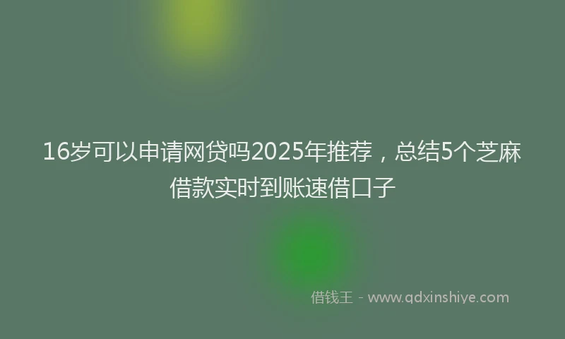 16岁可以申请网贷吗2025年推荐，总结5个芝麻借款实时到账速借口子