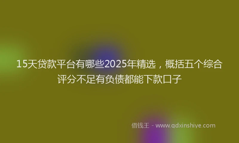 15天贷款平台有哪些2025年精选，概括五个综合评分不足有负债都能下款口子