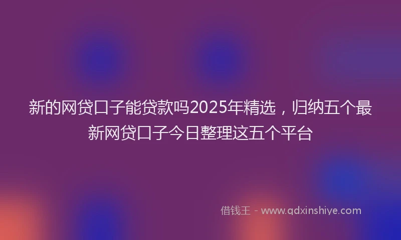 新的网贷口子能贷款吗2025年精选，归纳五个最新网贷口子今日整理这五个平台