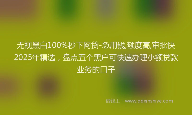无视黑白100%秒下网贷-急用钱,额度高,审批快2025年精选，盘点五个黑户可快速办理小额贷款业务的口子