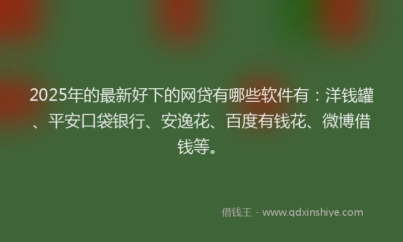2025年的最新好下的网贷有哪些软件有：洋钱罐、平安口袋银行、安逸花、百度有钱花、微博借钱等。