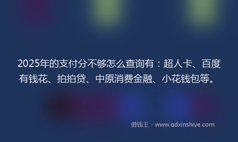 2025年的支付分不够怎么查询有：超人卡、百度有钱花、拍拍贷、中原消费金融、小花钱包等。