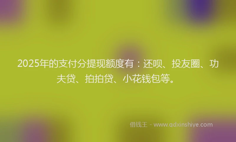 2025年的支付分提现额度有：还呗、投友圈、功夫贷、拍拍贷、小花钱包等。
