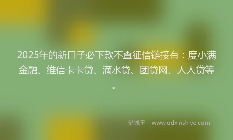 2025年的新口子必下款不查征信链接有：度小满金融、维信卡卡贷、滴水贷、团贷网、人人贷等。
