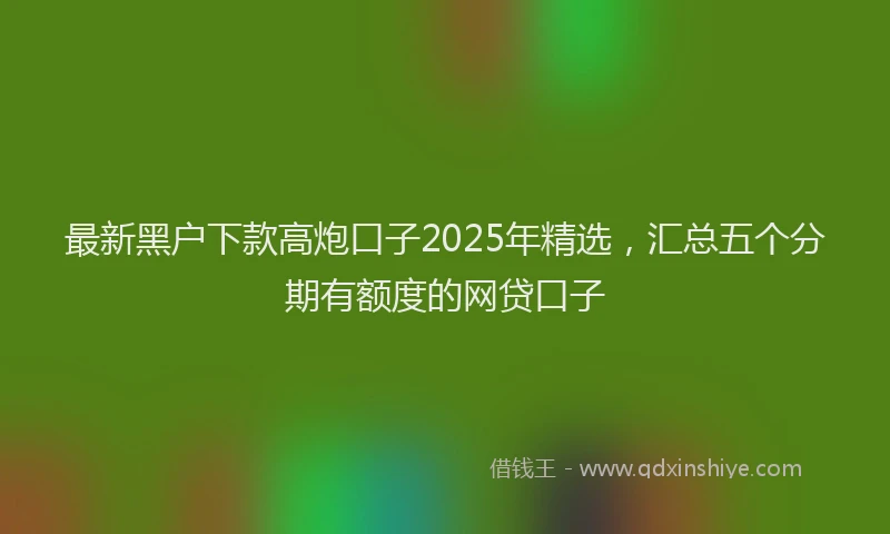最新黑户下款高炮口子2025年精选，汇总五个分期有额度的网贷口子
