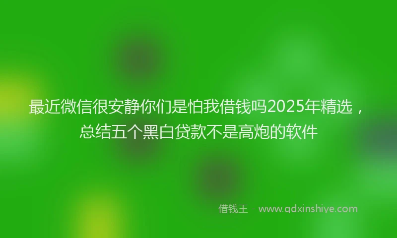 最近微信很安静你们是怕我借钱吗2025年精选，总结五个黑白贷款不是高炮的软件