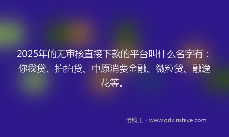 2025年的无审核直接下款的平台叫什么名字有：你我贷、拍拍贷、中原消费金融、微粒贷、融逸花等。