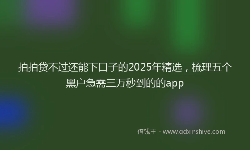 拍拍贷不过还能下口子的2025年精选，梳理五个黑户急需三万秒到的的app