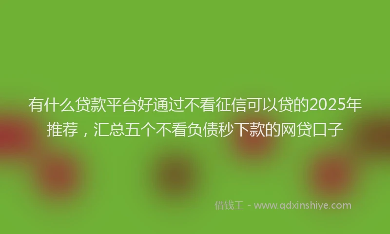 有什么贷款平台好通过不看征信可以贷的2025年推荐，汇总五个不看负债秒下款的网贷口子