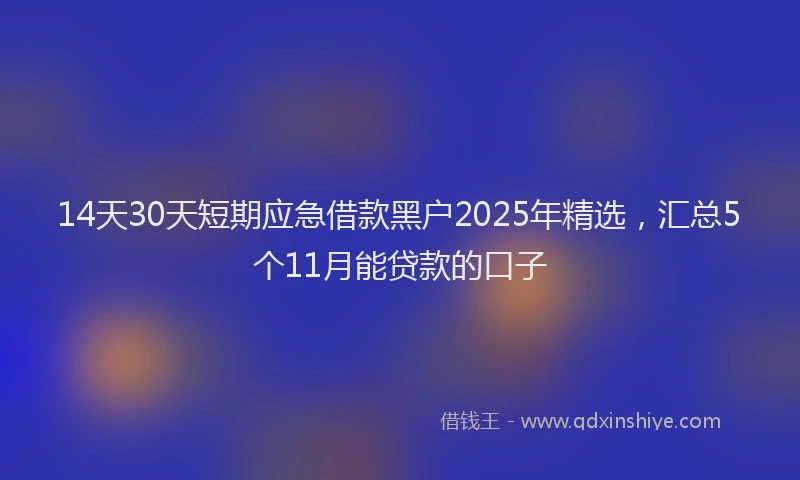 14天30天短期应急借款黑户2025年精选，汇总5个11月能贷款的口子