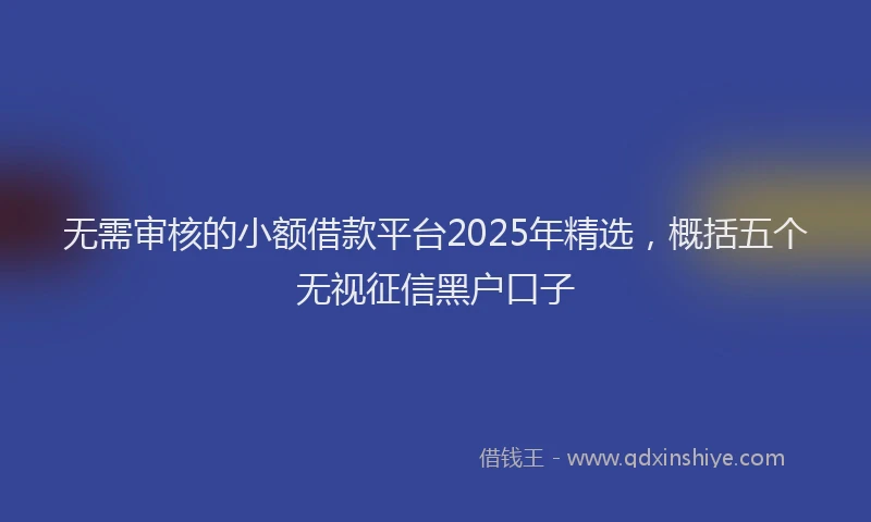 无需审核的小额借款平台2025年精选，概括五个无视征信黑户口子