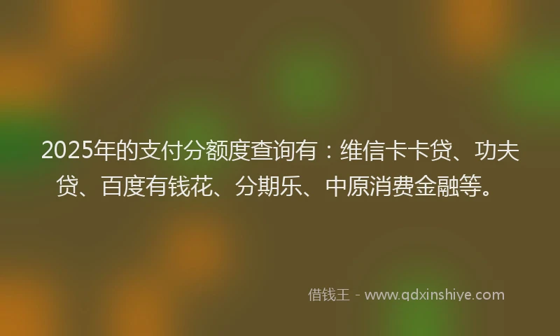 2025年的支付分额度查询有：维信卡卡贷、功夫贷、百度有钱花、分期乐、中原消费金融等。