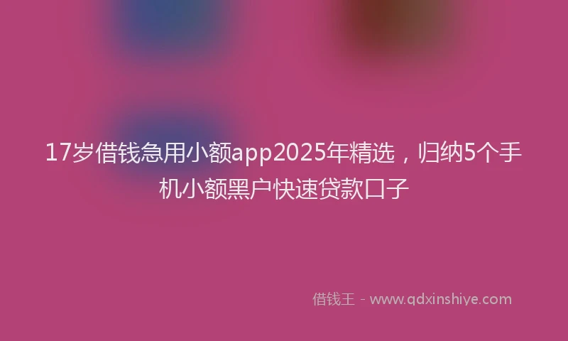 17岁借钱急用小额app2025年精选，归纳5个手机小额黑户快速贷款口子