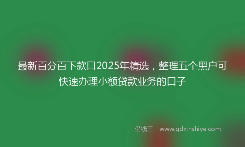 最新百分百下款口2025年精选，整理五个黑户可快速办理小额贷款业务的口子
