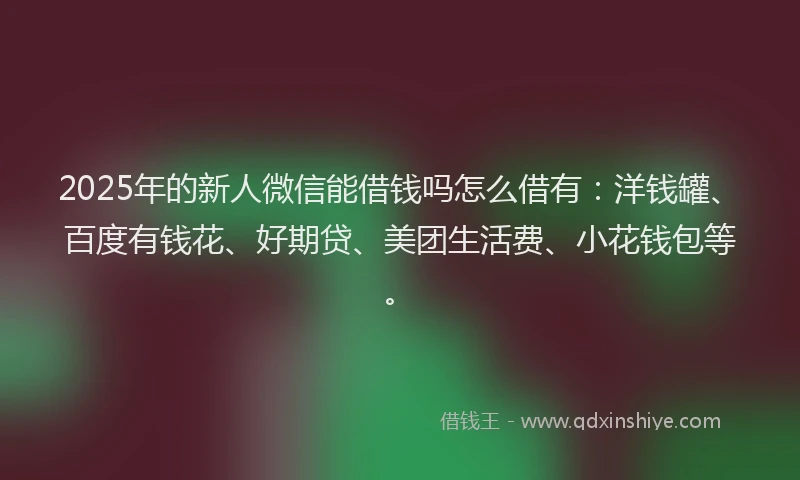 2025年的新人微信能借钱吗怎么借有：洋钱罐、百度有钱花、好期贷、美团生活费、小花钱包等。