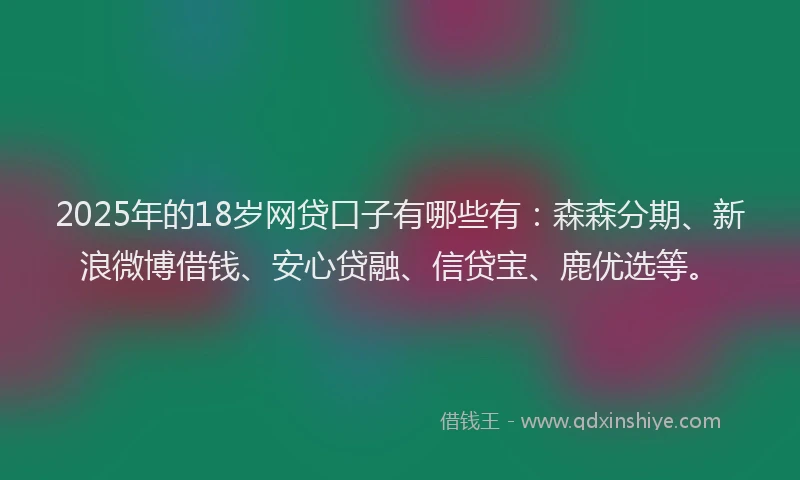2025年的18岁网贷口子有哪些有：森森分期、新浪微博借钱、安心贷融、信贷宝、鹿优选等。