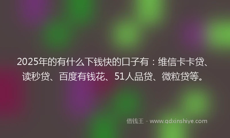 2025年的有什么下钱快的口子有：维信卡卡贷、读秒贷、百度有钱花、51人品贷、微粒贷等。